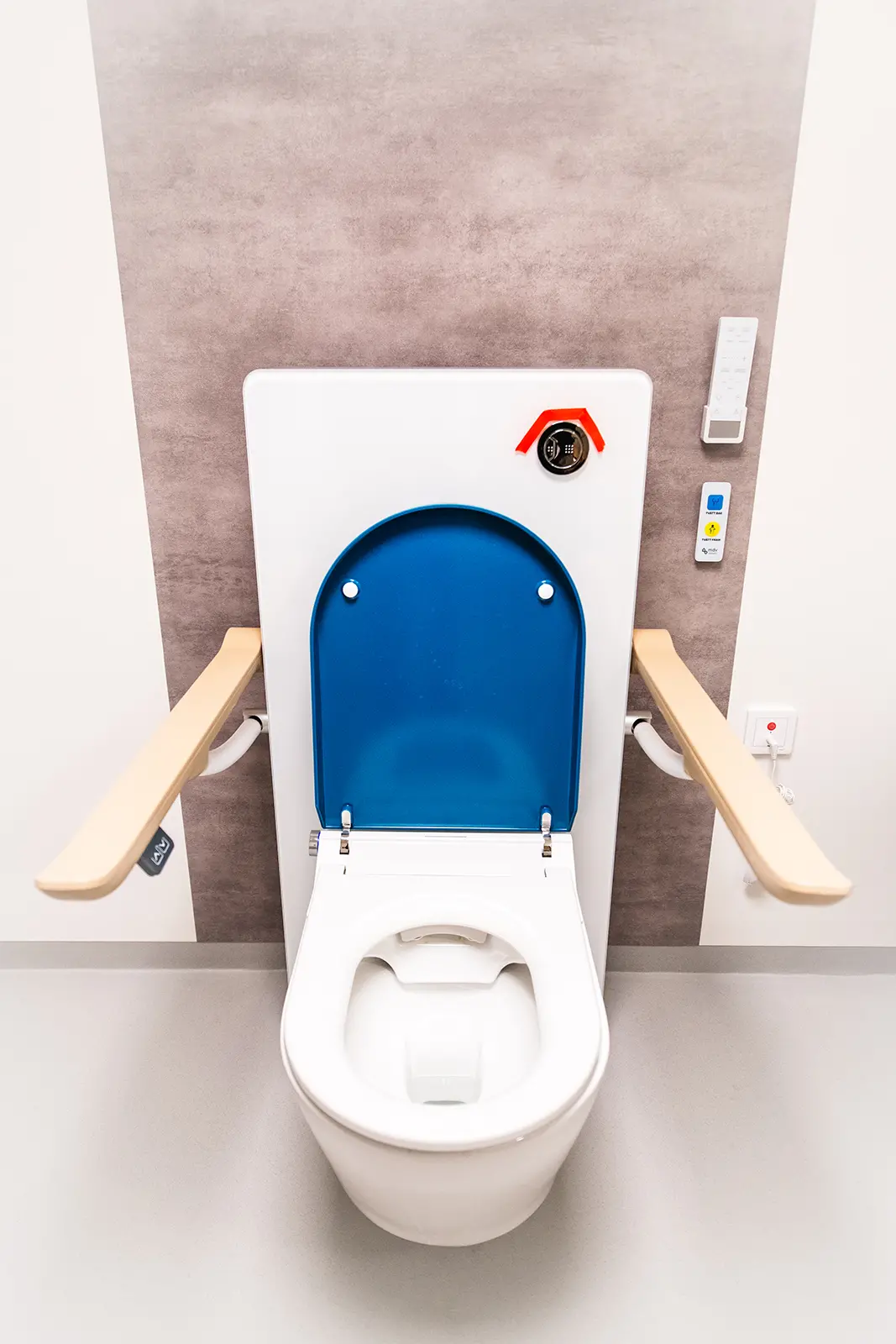 Den japanska toaletten