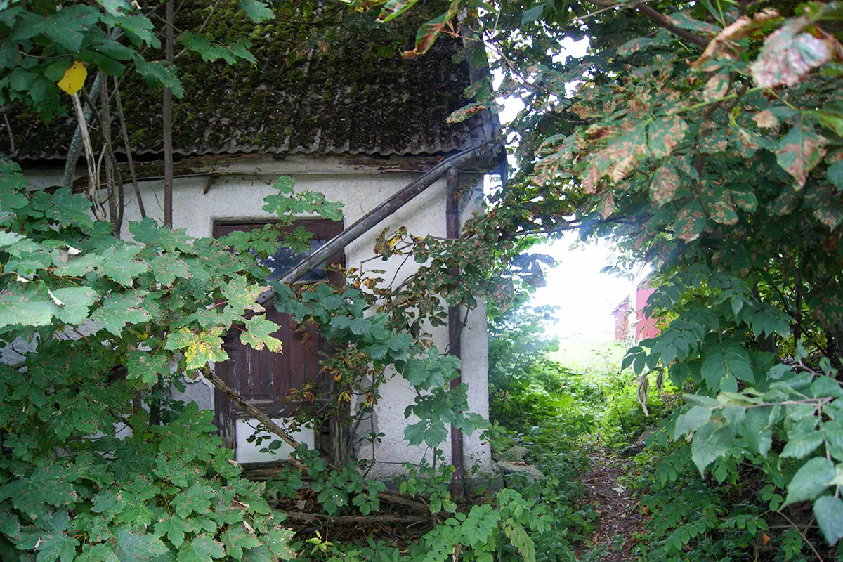 Förfallet ödehus med igenvuxen trädgård i Sjöbo.